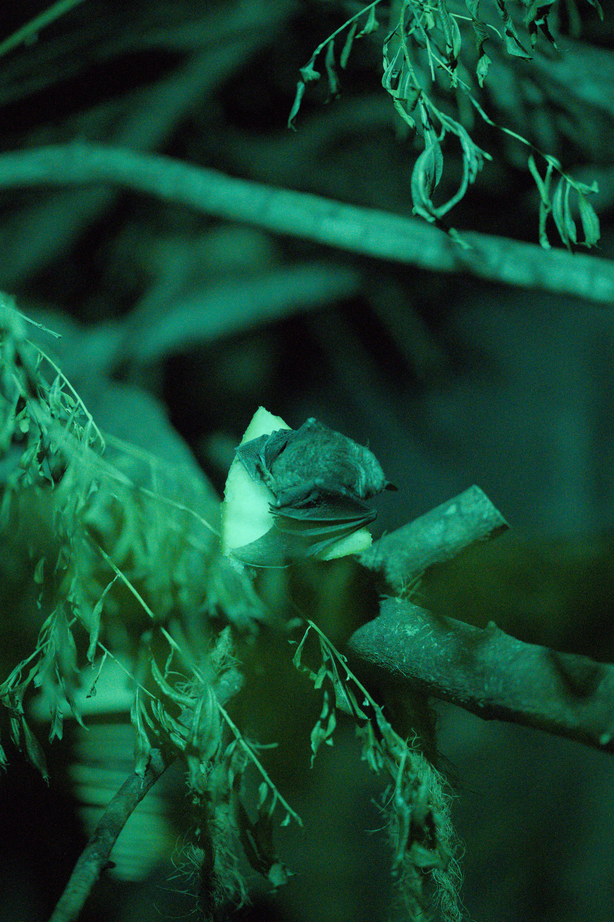 2025/10/12 - zoo/DSC_0277.jpg